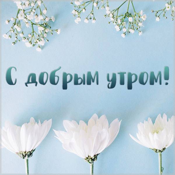 Открытка с добрым утром со цветами - скачать бесплатно на otkrytkivsem.ru