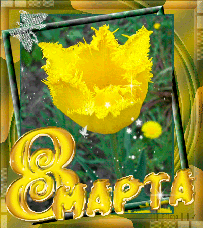 Открытки 8 Марта с желтым тюльпаном - скачать бесплатно на otkrytkivsem.ru
