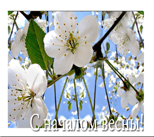 Открытки с началом весны - скачать бесплатно на otkrytkivsem.ru