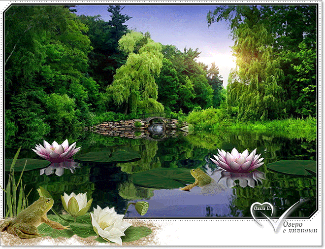 Озеро с лилиями - скачать бесплатно на otkrytkivsem.ru