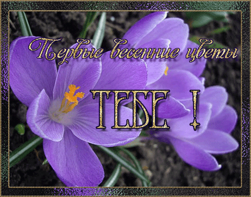 Первые весенние цветы - скачать бесплатно на otkrytkivsem.ru