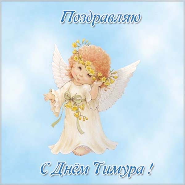 Поздравление с днем Тимура в картинке - скачать бесплатно на otkrytkivsem.ru