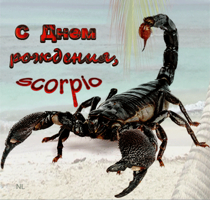 Поздравление скорпиона - скачать бесплатно на otkrytkivsem.ru