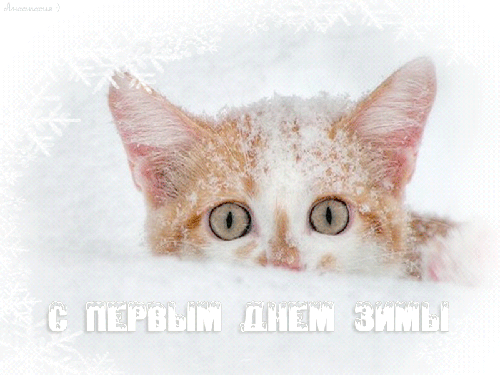 Поздравляю с Первым днем зимы - скачать бесплатно на otkrytkivsem.ru