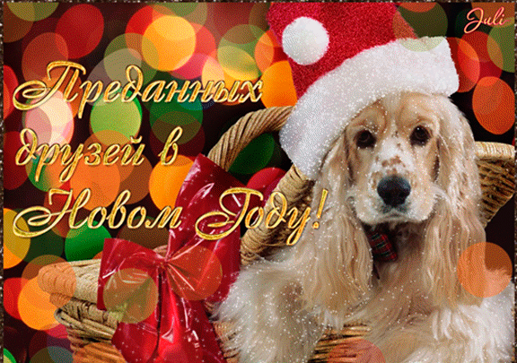Пожелание в Новый Год Собаки - скачать бесплатно на otkrytkivsem.ru