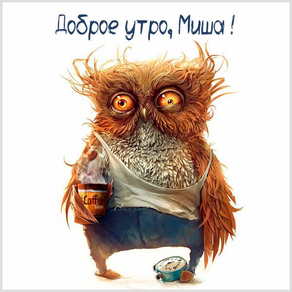 Прикольная картинка доброе утро Миша - скачать бесплатно на otkrytkivsem.ru