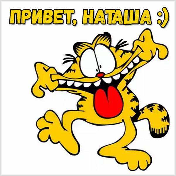 Прикольная картинка привет Наташа - скачать бесплатно на otkrytkivsem.ru
