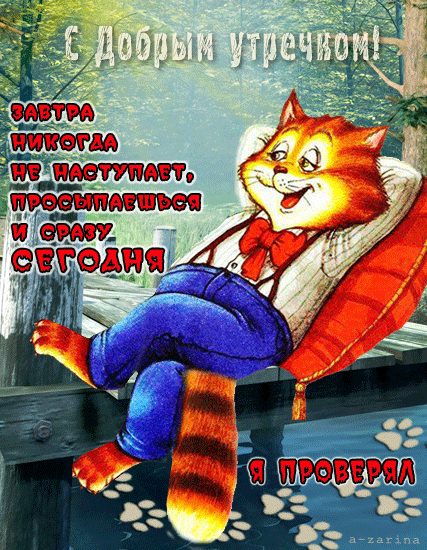 Прикольная картинка с котом - С добрым утречком - скачать бесплатно на otkrytkivsem.ru
