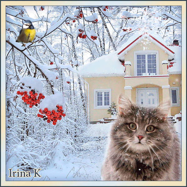 Прикольная картинка зима - скачать бесплатно на otkrytkivsem.ru