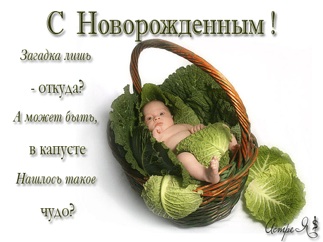 Прикольная открытка с Новорожденным! - скачать бесплатно на otkrytkivsem.ru