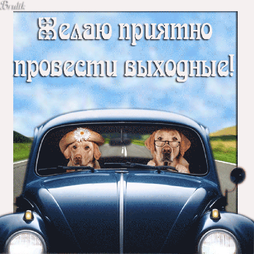 Приятно провести выходные - скачать бесплатно на otkrytkivsem.ru