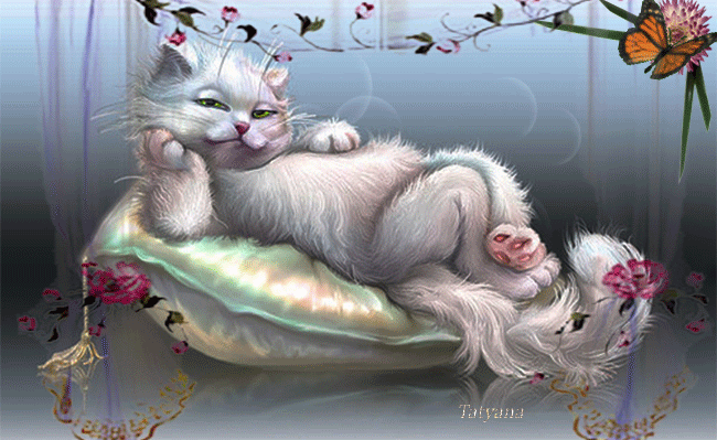 Пушистый кот на подушке - скачать бесплатно на otkrytkivsem.ru
