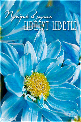 Пусть в душе цветут цветы - скачать бесплатно на otkrytkivsem.ru