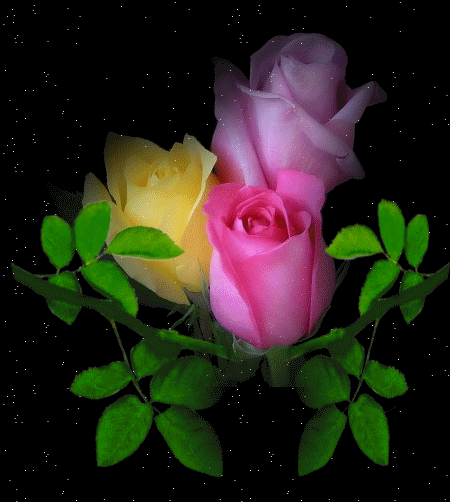 Разноцветные розы - скачать бесплатно на otkrytkivsem.ru