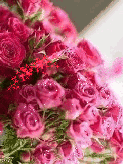 Розовые розы - скачать бесплатно на otkrytkivsem.ru