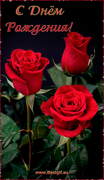 Розы на День Рождения - скачать бесплатно на otkrytkivsem.ru