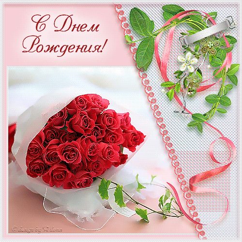 Розы в день рождения - скачать бесплатно на otkrytkivsem.ru