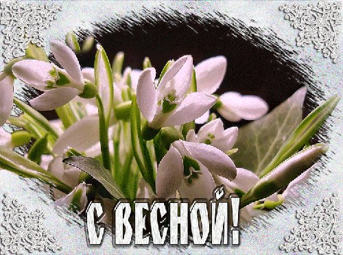 С весной! - скачать бесплатно на otkrytkivsem.ru