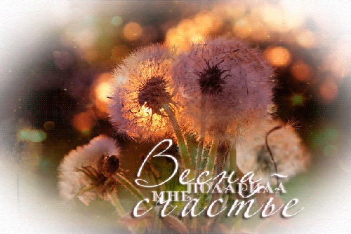 Счастье нам подарила Весна - скачать бесплатно на otkrytkivsem.ru