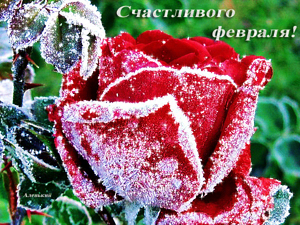 Счастливого февраля! - скачать бесплатно на otkrytkivsem.ru