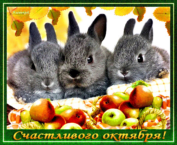 Счастливого октября! - скачать бесплатно на otkrytkivsem.ru