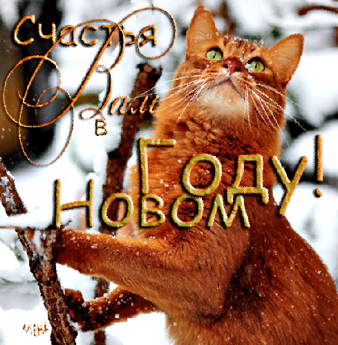 Счастья Вам в Новом году!!! - скачать бесплатно на otkrytkivsem.ru