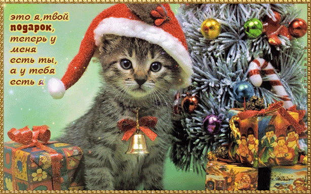 Симпатичный котёнок у новогодней ёлки - скачать бесплатно на otkrytkivsem.ru