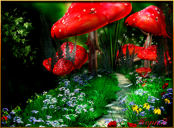 Сказочная картинка - Дорожка среди грибов - скачать бесплатно на otkrytkivsem.ru