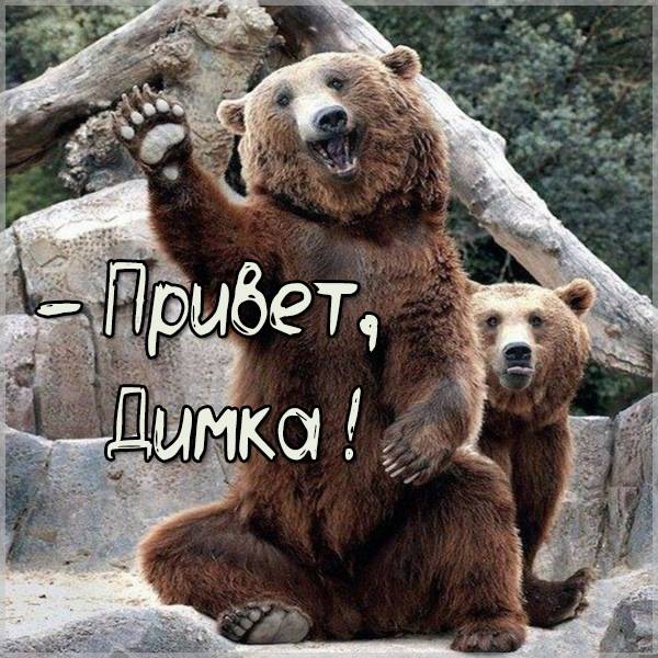 Смешная картинка привет Димка - скачать бесплатно на otkrytkivsem.ru
