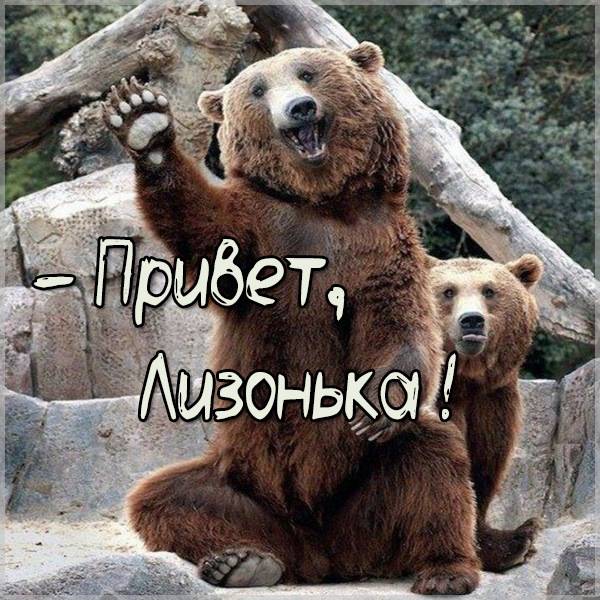 Смешная картинка привет Лизонька - скачать бесплатно на otkrytkivsem.ru