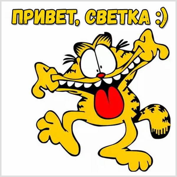 Смешная картинка привет Светка - скачать бесплатно на otkrytkivsem.ru