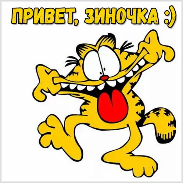 Смешная картинка привет Зиночка - скачать бесплатно на otkrytkivsem.ru