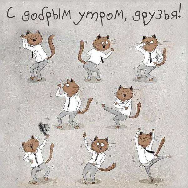 Смешная картинка с добрым утром для друзей - скачать бесплатно на otkrytkivsem.ru