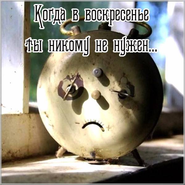 Смешная прикольная картинка про выходное день воскресенье - скачать бесплатно на otkrytkivsem.ru