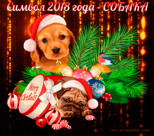 Собака символ 2018 нового года - скачать бесплатно на otkrytkivsem.ru