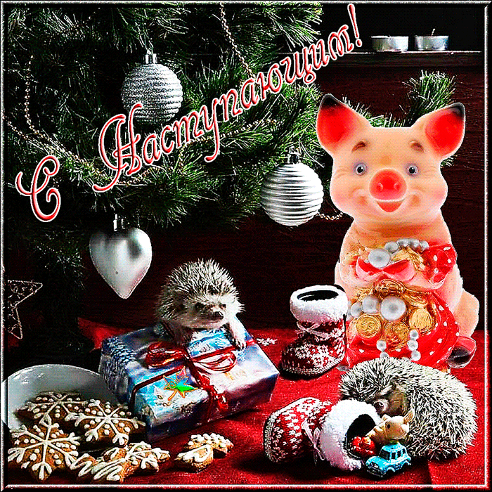 Веселая открытка С Наступающим годом свиньи - скачать бесплатно на otkrytkivsem.ru