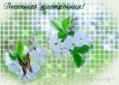 Весеннего настроения! Картинка с надписями - скачать бесплатно на otkrytkivsem.ru