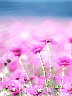 Весенние цветы в картинках - скачать бесплатно на otkrytkivsem.ru