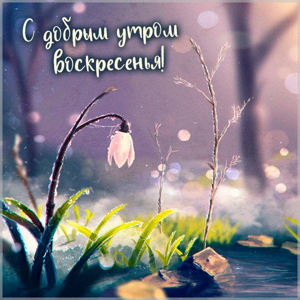 Весенняя открытка с добрым утром воскресенья - скачать бесплатно на otkrytkivsem.ru
