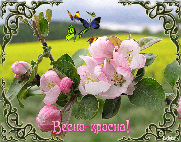 Весна картинки - скачать бесплатно на otkrytkivsem.ru