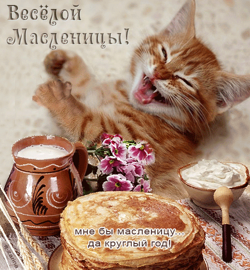 Весёлой Масленицы! Кот и масленица - скачать бесплатно на otkrytkivsem.ru