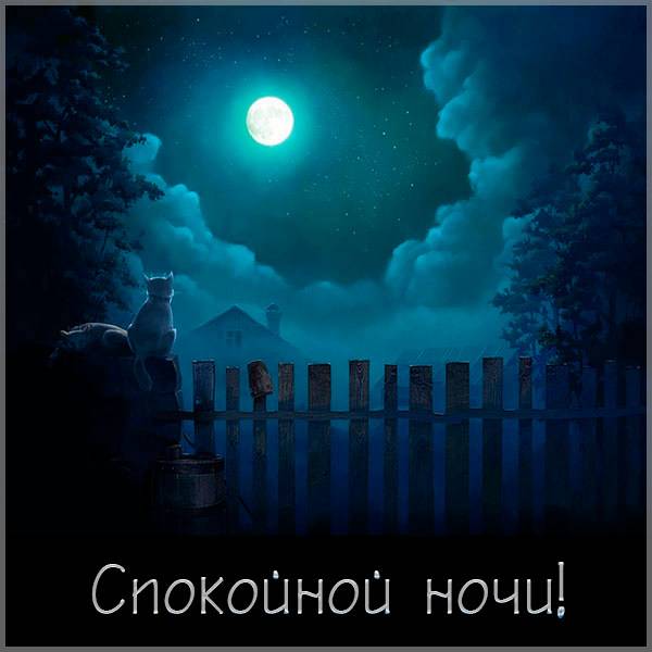 Виртуальная картинка со спокойной ночи мужчине - скачать бесплатно на otkrytkivsem.ru