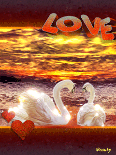 Влюбленные лебеди - скачать бесплатно на otkrytkivsem.ru