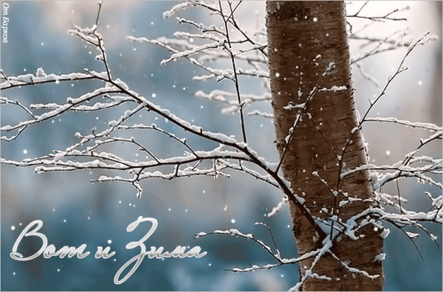 Вот и Зима картинка - скачать бесплатно на otkrytkivsem.ru