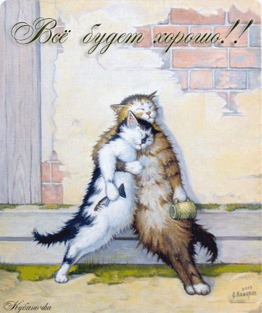Всемирный день кошек - скачать бесплатно на otkrytkivsem.ru