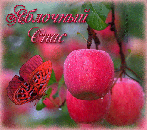 Яблочный Спас в картинках - скачать бесплатно на otkrytkivsem.ru