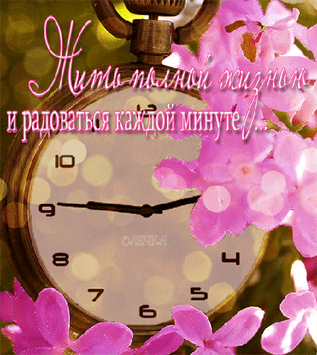 Жить полной жизнью и радоваться каждой минуте - скачать бесплатно на otkrytkivsem.ru