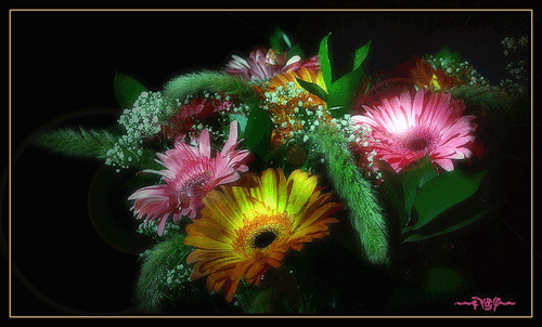Живые цветы в картинках - скачать бесплатно на otkrytkivsem.ru
