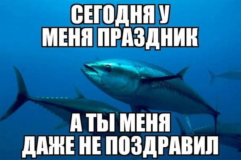 Большая открытка с днем тунца - скачать бесплатно на otkrytkivsem.ru