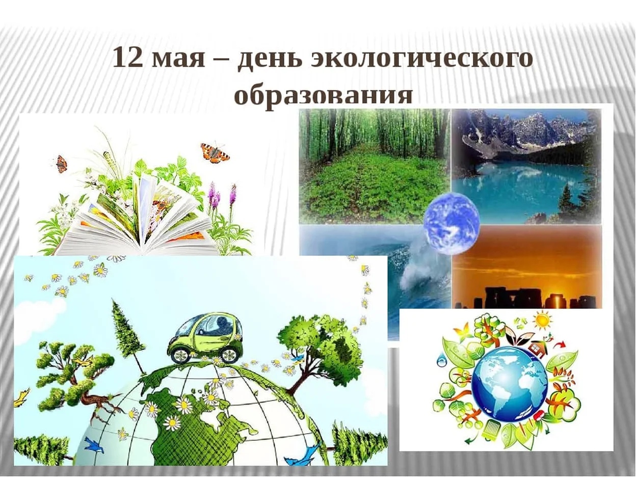 Официальная открытка с днем экологического образования - скачать бесплатно на otkrytkivsem.ru